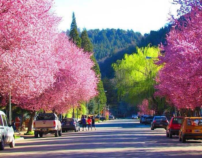 Clima san martin de los andes outlet