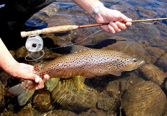 Pesca con Mosca en la Patagonia Cabañas con vista al Boulevard